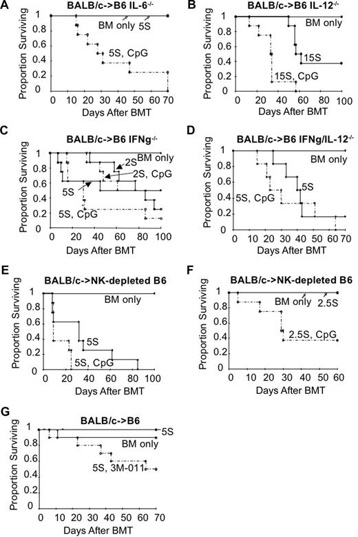 Figure 4. CpG ODN–mediated GVHD acceleration is independent of host IL-6, IL-12, and host NK cells, but is dependent on host IFNγ; a TLR7/8 agonist also increased GVHD. CpG ODNs were given intraperitoneally to cohorts of mice on d0, d7, d14, d21, and d28 (100 μg/dose). Recipients were lethally irradiated on d−1. (A) B6 IL-6−/− mice were given BALB/c BM and splenocytes (5 × 106). n = 8 per group, P < .001. (B) B6 IL-12−/− mice were given BALB/c BM and splenocytes (15 × 106). n = 8 per group, P = .003. (C) B6 IFNγ−/− mice were given BALB/c BM and 2 × 106 or 5 × 106 splenocytes. n = 8 per group, P ≥ .273. (D) B6 IFNγ/IL-12−/− mice were given BALB/c BM and splenocytes (5 × 106). n = 6 per group, P = .213. (E,F) NK cell–depleted B6 mice were given BALB/c BM and splenocytes. (E) 5 × 106, P = .041. (F) 2.5 × 106, P = .005; n = 8 per group. (G) B6 mice were given BALB/c BM and splenocytes (5 × 106), and 3M-011 or drug vehicle was given subcutaneously to cohorts of mice every other day for 4 weeks starting d0. n = 10 per group, P = .006. Data were reproduced in a second experiment.