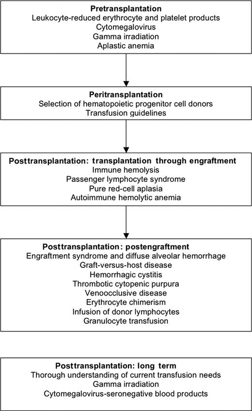 Figure 1. Transfusion-related considerations for each transplantation period.