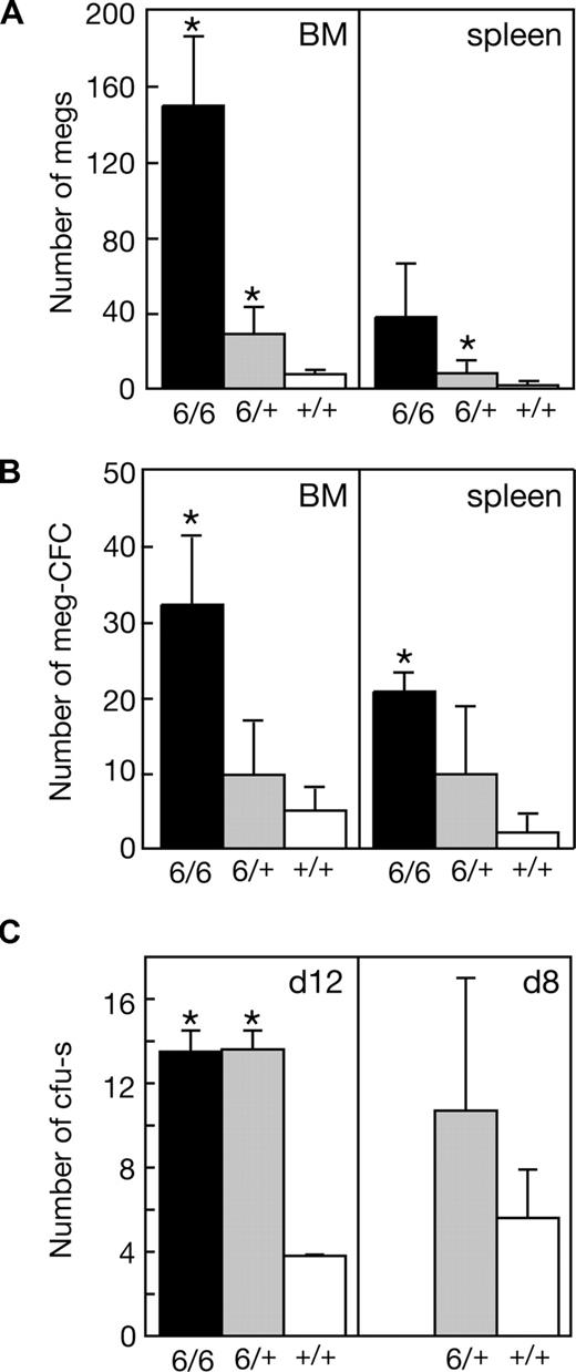 Figure 3. Expanded megakaryocytopoiesis in Mpl−/− Plt6 mutants. Elevated platelet counts in Plt6 homozygous (6/6) and heterozygous (6/+) mice were accompanied by (A) increased numbers of megakaryocytes (megs), shown as number per microscopic field (×600, BM; ×200, spleen), (B) megakaryocyte colony-forming cells (meg-CFCs), shown as number per 2.5 × 104 bone marrow (BM) or 105 spleen cells, and (C) colony-forming units–spleen (CFU-s's), shown as number per 1.5 × 105 donor bone marrow cells at days 12 or 8 following transplantation. Means plus or minus SD are shown. * P value less than .05 for comparison of data from Mpl−/− Plt6/Plt6 or Mpl−/− Plt6/+ mice with that of Mpl −/−+/+ mice. n = 3 to 7 mice per genotype.