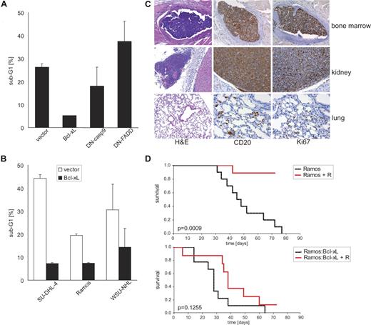 Figure 2. Antiapoptotic Bcl-xL protects B-NHL cells to rituximab-induced apoptosis in vitro and in vivo. (A) Rituximab-sensitive SU-DHL-4 cells were retrovirally transduced to express the indicated genetic inhibitors of apoptosis and EGFP via a bicistronic cassette. EGFP-expressing cells were isolated by fluorescence-activated cell sorting followed by treatment with cross-linked rituximab for 48 hours. The fraction of cells with apoptotic DNA fragmentation was quantified flow cytometrically after hypotonic lysis and staining with PI; mean values plus SD of 3 independent experiments are given. (B) Three rituximab-sensitive B-NHL cell lines were retrovirally transduced to express antiapoptotic Bcl-xL and EGFP or control vector, and were sorted as in panel A. The fraction of cells with apoptotic DNA fragmentation was quantified flow cytometrically after treatment with cross-linked rituximab for 48 hours; mean values plus SD of 3 independent experiments are shown. (C) Histopathologic analysis of NOD/SCID mice that were intravenously inoculated with human Ramos B-NHL cells. Representative photomicrographs from organ sections stained with hematoxylin/eosin and antibodies against the human CD20 antigen or the mitotic marker Ki-67. Note the presence of mitotically active human CD20-positive B-NHL cells demonstrating engraftment in various murine organs. Slides were viewed with a Zeiss Axioplan upright research-grade microscope for brightfield and fluorescence applications (Carl Zeiss, Jena, Germany) using a Plan-NEOFLUAR lens at 10 ×/0.30, 20 ×/0.50, and 40 ×/0.75. Images were acquired using the Axio Cam HRc camera (Zeiss), and were processed with Axio-Vision Rel. 4.6 software (Zeiss). (D) Kaplan-Meier plots of overall survival of NOD/SCID mice after intravenous inoculation of 107 Ramos (top panel) or Bcl-xL–expressing Ramos cells (bottom panel). Starting on day 5 after tumor inoculation, the mice received intraperitoneal injections of rituximab (+ R, red line) or vehicle (black line); 10 mice per group. Note that rituximab treatment significantly (P = .001) prolonged survival of Ramos lymphoma-bearing, but not of Ramos-Bcl-xL lymphoma-bearing mice.