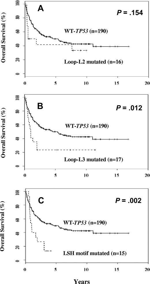 Figure 3. Prognostic significance of TP53 mutations in specific DNA-binding motifs. (A) Overall survival of patients with mutations in the Loop-L2 domain. (B) Overall survival of patients with mutations in the Loop-L3 motif. (C) Overall survival of patients with mutations in the LSH domain.