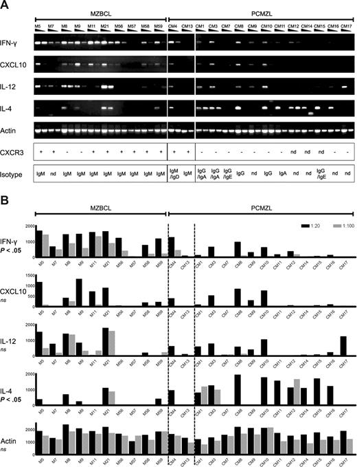 Figure 2. PCMZLs develop in a distinct inflammatory environment. (A) Semiquantitative RT-PCR for IFN-γ, CXCL10, IL-12, IL-4, and actin, on whole tissue samples of 10 extranodal MZBCLs (left) and 14 PCMZLs (right); each sample was tested in 2 dilutions. The 2 cases in the middle, CM04 and CM13, represent the IgM+ CXCR3+ PCMZLs. The lower 2 panels depict the results of immunohistochemistry for CXCR3, and the Ig isotypes determined by RT-PCR. nd indicates not determined. (B) PCR band intensities as determined by densitometry (in arbitrary values). Differences between extranodal MZBCLs on the left and class-switched PCMZLs on the right were significant for IFN-γ (P = .001) and IL-4 (P = .028), as determined by a Mann-Whitney rank-sum test.