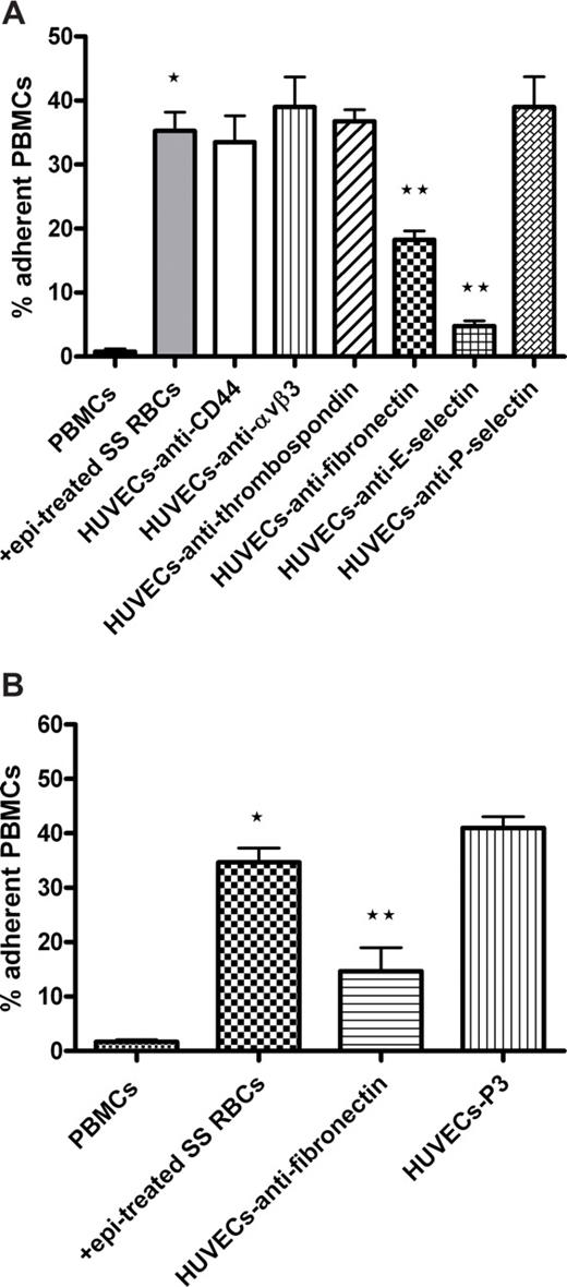 Figure 5. Endothelial cell E-selectin and fibronectin are involved in adhesion of activated PBMCs. (A,B) HUVECs were preincubated with or without antibody against CD44, αvβ3 integrin, thrombospondin, fibronectin, E-selectin, or P-selectin. P3 protein was used as a nonreactive control antibody in panel B. HUVECs were washed and then tested for their ability to support adhesion of PBMCs activated with epi-treated SS RBCs. (A) Error bars show SEM of 4 different experiments measuring adhesion at a shear stress of 1 dyne/cm2. *P < .001 compared with unstimulated PBMCs; **P < .01 compared with PBMCs preincubated with epi-treated SS RBCs. (B) Error bars show SEM of 3 different experiments measuring adhesion at a shear stress of 1 dyne/cm2. *P < .001 compared with unstimulated PBMCs; **P < .01 compared with PBMCs preincubated with epi-treated SS RBCs.