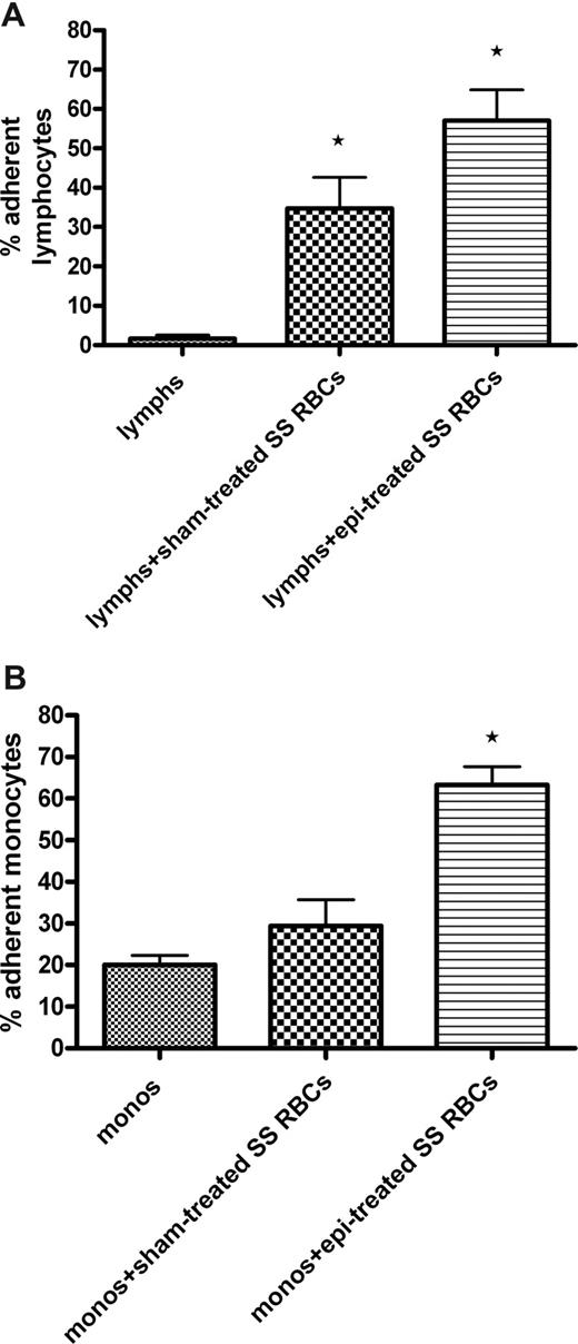Figure 6. SS RBCs induce increased adhesion of both lymphocytes and monocytes to HUVECs. Lymphocytes (lymphs) and monocytes (monos) were isolated as described in “Adhesion of lymphocytes and monocytes.” Results are presented as percentage of adherent lymphocytes (A) or monocytes (B) at a shear stress of 1 dyne/cm2. Error bars show SEM of 3 different experiments for both panels A and B. (A) Sham-treated SS RBCs or epi-treated SS RBCs were coincubated with isolated lymphocytes. Lymphocytes were then tested for adhesion to HUVECs. *P < .05 compared with unstimulated lymphs. (B) Sham-treated SS RBCs or epi-treated SS RBCs were coincubated with isolated monocytes. After incubation, monocytes were then tested for adhesion to HUVECs. *P < .01 compared with unstimulated monos.