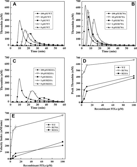 Figure 3. Factor IXa–stimulated thrombin generation in factor IX–deficient plasma in the absence of tissue factor. Thrombin generation was initiated by 1 to 100 pM of recombinant factor IXa wild-type (A), R170A (B), or R233A (C), in the presence of 8.3 μM of PC:PS vesicles, and 40 μg/mL of CTI (plasma concentrations) in factor IX–deficient plasma. Factor IXa was added just before recalcification at a final plasma concentration indicated in the figure. The time course of thrombin generation was measured as described in “Fluorogenic method for detection of plasma thrombin generation.” Thrombin generation curves representing the mean fluorescent data from replicate determinations (n = 10) are shown. Curves are identified by representative points. Peak thrombin concentration (D) and velocity index of thrombin generation (E) for each recombinant protein are plotted for comparison. Error bars represent SE.