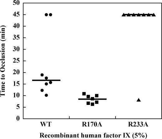 Figure 5. Effect of recombinant factor IX mutants at 5% plasma levels on the time to occlusion (TTO) after FeCl3-induced saphenous vein injury in the hemophilia B mouse. Factor IX gene–ablated C57B6 mice were infused with recombinant factor IX wild-type, R170A, or R233A at doses calculated to result in 5% normal plasma levels before undergoing FeCl3-induced saphenous vein injury as described in “Saphenous vein hemostasis and thrombosis models.” Saphenous vein flow was monitored by Doppler probe up to 45 minutes or until loss of flow was observed for 60 seconds to determine the time to occlusion (TTO). Median TTO (solid lines) was 15.7 minutes for factor IX wild-type, 9.1 minutes for factor IX R170A, and more than 45 minutes for factor IX R233A (P ≤ .003, Mann-Whitney).