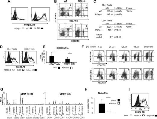 Figure 2. PI3Kγ deficiency or selective blockade of PI3Kγ activity prevents efficient induction of CXCR3 on T cells upon activation. (A,B) T cells from C57BL/6 mice genetically deficient in functional PI3Kγ (PI3Kγ−/−) express less CXCR3 than wild-type C57BL/6 T cells. (A) Flow cytometric analysis of CXCR3 levels on anti-CD3/CD28–activated T cells from wild-type (black hollow peaks) and PI3Kγ−/− (gray hollow peaks) mice. (B) Flow cytometric analysis of lesion-draining LN cells excised from L mexicana–infected wild-type and PI3Kγ−/− C57BL/6 mice. Numbers outside parentheses indicate the percentage of LN cells, whereas numbers in parentheses represent the percentage of CXCR3+ T cells in the CD4+ or CD8+ compartment. Shown are representative results of 3 to 5 independent experiments. (C) Mean fluorescence intensity values (MFI) for CXCR3 staining on CD4+ and CD8+ LN T cells from L mexicana–infected mice. Numbers given are the mean MFI (± SEM) of CXCR3-PE staining on the surface of indicated T cells from 3 independent experiments. *P = .05. (D) Blockade of PI3Kγ activity suppresses efficient induction of CXCR3 on activated T cells. Activated T cells were treated with the PI3Kγ-selective inhibitor AS-605240 (1.25 μM; gray hollow peaks) or vehicle (black hollow peaks) as described before, and expression of CXCR3 was analyzed by flow cytometry. Isotype controls are solid peaks. (E) Analysis of CXCR3mRNA levels in AS-605240–treated versus vehicle-treated T cells by semiquantitative real-time PCR analysis. AS-605240–treated T cells (▭) showed significantly less induction of CXCR3 mRNA than vehicle-treated cells (). (F) The effect of AS-605240 on CXCR3 suppression was dose dependent. (G) AS-605240 treatment did not affect CCR1, CCR5, CCR4, CCR7, CXCR6, and CCR10 mRNA levels. (H) AS-605240–treated T cells (▭) displayed less induction of T-bet mRNA compared with vehicle controls (). Real-time PCR data for each group were normalized to the housekeeping gene gapdh and are expressed as fold induction over nonstimulated cells. (I) Effect of PI3Kγ gene silencing on induction of CXCR3. Activated T cells transfected with PI3Kγ siRNA expressed less CXCR3 compared with controls. Data in panels A-D and I are representative of at least 2 to 5 independent experiments with similar results. Panels F-H represent the mean results (± SEM) of 3 or more independent experiments. A P value from an unpaired Student t test less than .05 (*) was considered significant.