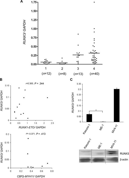 Figure 2. RUNX3 expression levels in AML patients and cell lines. (A) RUNX3 mRNA levels in 73 diagnostic BM from AML patients were determined by real-time RT-PCR and normalized using GAPDH. Patients were divided into 4 subgroups: (1) t(8;21)-positive; (2) inv(16)-positive; (3) t(8;21)- and inv(16)-negative M2/M4; and (4) t(8;21)- and inv(16)-negative non-M2/M4. The number of patients in each subgroup is shown. The horizontal line indicates the mean RUNX3/GAPDH ratio. (B) Correlation analysis between RUNX3 mRNA levels and the levels of RUNX1-ETO and CBFβ-MYH11 fusion transcripts. RUNX1-ETO and CBFβ-MYH11 levels in the t(8;21) and inv(16)-positive patients were determined by real-time RT-PCR and normalized using GAPDH. Of the 8 inv(16)-positive patients, 7 cases express the common type A transcript (also expressed by ME-1), and 1 case expresses the type D transcript,32 which was not amplified by the type A primer set and was excluded from the analysis. r indicates Pearson correlation coefficient. (C) Real-time RT-PCR (top panel) and immunoblot (bottom panel) analysis of RUNX3 expression in Kasumi-1, ME-1, and MV4-11 cell lines, which represent different subgroups of AML. For real-time RT-PCR, results are expressed as mean plus or minus SD from triplicate assays. The mean RUNX3/GAPDH mRNA ratio was 0.002 for ME-1. *P < .001. For immunoblot, the image was assembled from different lanes in the same film.