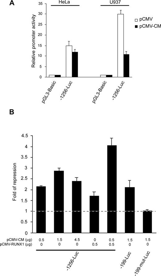 Figure 5. CBFβ-MYH11 cooperated with RUNX1 to repress the RUNX3 P1 promoter through the same conserved RUNX binding sites. (A) The -1256-Luc promoter construct was cotransfected with pCMV-CBFβ-MYH11 or empty pCMV together with pRL-CMV into HeLa and U937 cells. (B) Wild-type and mutant RUNX3 P1 promoter constructs were cotransfected with the indicated amount of pCMV-CBFβ-MYH11 and/or pCMV-RUNX1 together with pRL-CMV into U937 cells. Cotransfection with the same amount of empty pCMV was done in parallel. In all experiments, transfection efficiency was normalized according to the cotransfected pRL-CMV Renilla luciferase activity. Results are presented as relative promoter activity by comparing the normalized firefly luciferase activity of the construct to that of pGL3-Basic or as fold of repression by comparing the normalized firefly luciferase activity of the construct cotransfected with the expression plasmids to that cotransfected with empty pCMV. Results are expressed as mean plus or minus SE from triplicate assays. pCMV-CM indicates pCMV-CBFβ-MYH11.