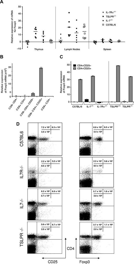 Figure 1. Expression of Foxp3 mRNA in tissues of different strains of mice. (A) Relative expression of Foxp3 mRNA by real-time PCR. RNA was extracted from homogenized suspensions of thymus, spleen, or lymph nodes. Symbols represent the fold increase or decrease expression in individual mice, and the bar indicates the mean. (B) To verify that detection of Foxp3 by real-time PCR was selective for Treg cells, thymocytes from C57BL/6 mice were sorted for Treg cell markers. Expression was highest in the CD4+CD25+ subset that includes Treg cells. (C) Expression of Foxp3 mRNA by real-time PCR in sorted CD4+CD25− or CD4+CD25+ cells from spleens of C57BL/6, IL-7−/−, IL-7Rα−/−, TSLPR+/+, and TSLPR−/− mice. Cells for each strain were pooled from at least 2 mice. (D) Quantification of Treg cells (CD4+CD25+ and CD4+Foxp3+) in spleen of IL-7Rα−/− mice was compared with C57BL/6, IL-7−/−, or TSLPR−/−. Cells were gated on CD3. Representative individual mice from groups of at least 4 mice are shown.