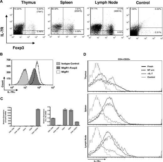 Figure 3. Expression of IL-7Rα on Treg cells. (A) Surface IL-7Rα versus intracellular Foxp3 were evaluated in cells from thymus, spleen, and lymph nodes of normal C57BL/6 mice. IL-7Rα was variably expressed on Foxp3-positive cells. (B) Effect of overnight culture on expression of IL-7Rα. The level of IL-7Rα increased on some cells from thymus spleen and lymph node of normal C57BL/6 mice. On Treg cells (CD4+CD25+) from thymus, the IL-7Rα level increased, but it did not rise on Treg cells from spleen or lymph node. Culture with IL-7 down-regulated IL-7Rα expression on Treg cells as well as other T cells. (C) Foxp3 down-regulates IL-7Rα expression. The IL-7–dependent T-cell line D1 was infected with the retrovirus MigR1 expressing Foxp3, or with an empty MigR1 vector. After 24 hours, cells were analyzed for expression of IL-7Rα. The result is representative of 3 separate experiments. (D) Subsets of thymocytes were analyzed for expression of Foxp3 versus IL-7R. Cells were sorted according to expression of CD4, CD8, and CD25, then assayed by real-time PCR.
