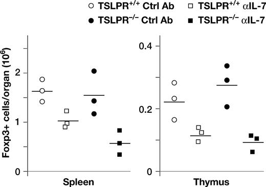 Figure 5. Depletion of Treg cells in TSLPR−/− mice by injection of anti–IL-7 Ab. Anti–IL-7 (M25) or control antibody (M1) were injected 3 times per week for 4 weeks into either TSLPR−/− or TSLPR+/+ littermates. The number of Treg cells in thymus and spleen was determined by staining for intracellular Foxp3. Values shown are for 3 individual mice per group, and the bar indicates the mean in each group.