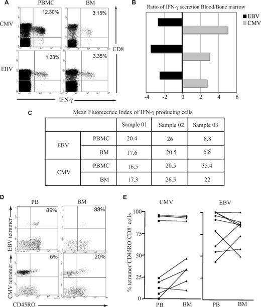 Figure 3. Functional capacity and activation status of virus-specific CD8+ T cells in the BM. (A) BM-derived EBV-specific CD8+ T cells but not CMV-specific CD8+ T cells have greater IFN-γ response compared with blood counterparts. Cells were stimulated with class I–restricted RAKFKQLL peptide for EBV response and QIKVRVDMV peptide for CMV response for 6 hours, followed by intracytoplasmic staining for IFN-γ. Example flow cytometry profiles show virus-specific response by CD8+ T cells. (B) Graph shows the ratio of IFN-γ response in the blood and BM in 3 different subjects. A negative value means there is more IFN-γ producing cells in the BM. (C) The table shows the mean fluorescence index of IFN-γ–producing cells. (D) A representative plot of CD45RO expression on tetramer-positive CD8+ T cells. After gating on CD8+ T cells, the dual expression of tetramer and CD45RO were analyzed. (E) Expression of CD45RO on CMV- and EBV-specific CD8+ T cells in paired blood and BM samples.