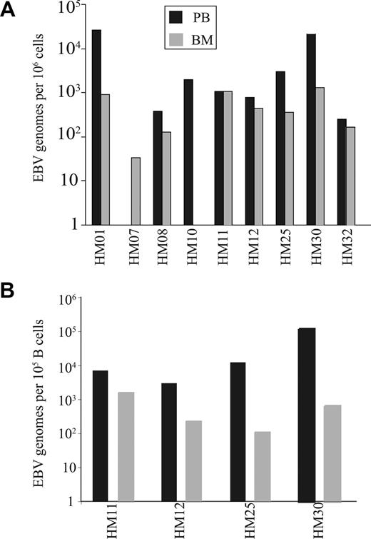 Figure 4. EBV genome loads on paired blood and BM samples. (A) The EBV genome copies in 106 mononuclear cells from both blood and BM. (B) The EBV load in 100 000 B cells were estimated in paired blood and BM samples. The proportions of B cells were calculated by staining blood and BM samples with anti-CD19 antibody.