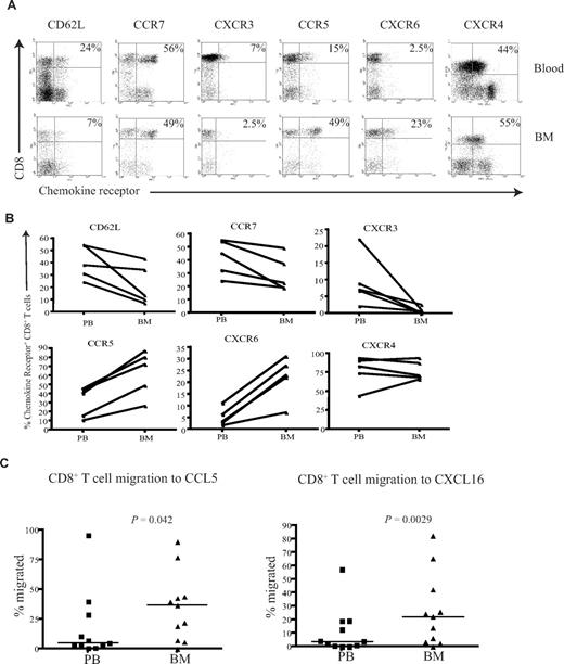 Figure 5. CD8+ T cells from the BM have a unique homing phenotype. (A) Example flow cytometry dual expression profiles showing the staining for CD62L, CCR7, CXCR3, CCR5, CXCR6, and CXCR4 on CD8+ T cells in paired blood and BM samples. Percentages represent proportion of tetramer+ CD8+ T cells expressing the chemokine receptor. (B) Frequency of CD8+ T cells expressing CD62L, CCR7, CXCR3, CCR5, CXCR6, and CXCR4 in paired blood and BM samples were analyzed in 5 different subjects. (C) In a transwell migration assay, the percentage of CD8+ T cells that migrated to CCL5 and CXCL16 were estimated. CD8+ T cells from paired blood and BM samples were added to wells, and the proportion of the CD8+ T cells that migrated to CCL5 and CXCL16 were then analyzed. Statistical values were obtained by Wilcoxon signed rank test. The y axes show percentage of CD8+ T cells that migrated in response to the chemokine.