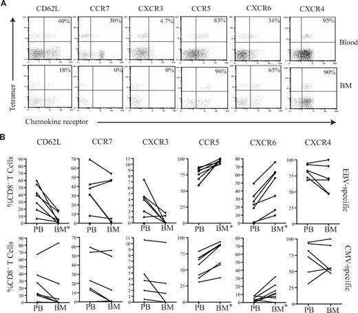 Figure 6. Chemokine profiles of virus-specific CD8+ T cells in paired blood and BM samples. (A) Example flow cytometry dual expression profiles showing the staining for CD62L, CCR7, CXCR3, CCR5, CXCR6, and CXCR4 in paired blood and BM samples on EBV-specific CD8+ T cells. After gating on CD8+ T cells, the expression of homing markers were identified in tetramer-positive T cells. The percentages shown refer to the percentage of tetramer-positive CD8+ T cells that express the relevant marker. (B) The summary of the frequency of antigen-specific CD8+ T cells expressing different homing markers. Graphs show the analysis of virus-specific CD8+ T cells from paired blood and BM samples for the expression of CD62L, CCR7, CXCR3, CCR5, CXCR6, and CXCR4 by flow cytometry. After gating on CD8+ T cells, the expression profiles of EBV- and CMV-specific CD8+ T cells were analyzed (n = 5-7). *Significant differences; P ≤ .05.