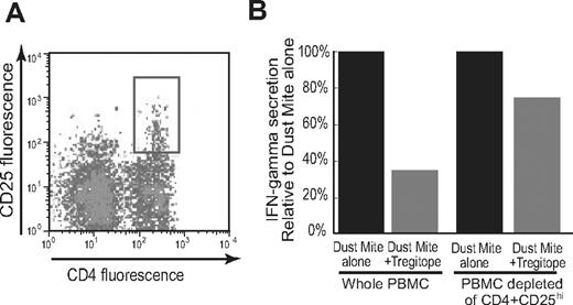 Figure 6. Depletion of CD4+CD25Hi Treg population reduces suppression of Teff response. Tregitope suppression is dependent on CD4+CD25Hi T cells. A. PBMC from allergic individuals were stained with anti-CD4 and anti-CD25 antibodies and analyzed by flow cytometry. The CD4+CD25Hi subset (gate 100) was sorted and discarded. B. CD4+CD25Hi depleted and nondepleted PBMC were costimulated with HDM lysate with or without hTregitope 289. CD4+CD25Hi-depleted PBMC were less able to suppress IFN-γ than were nondepleted PBMC. The levels of IFN-γ were reduced from 33.5 pg/mL to 11.8 pg/mL in the whole PBMC and from 16.5 pg/mL to 12.4 pg/mL in the CD4+CD25Hi-depleted subset.
