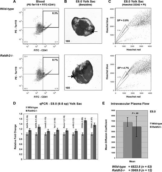Figure 2. RA signaling is not required for primitive hematopoiesis. (A,C) FACS analysis of the primitive hematoendothelial compartment in E8.0 Raldh2−/− and WT yolk sac. All population data were calculated as a percentage of the total live cell population plus or minus SEM (n ≥ 3). Statistical analysis of significance was determined by Student t test, with a confidence interval of 95% (P ≤ .05). (B) Benzidine staining reveals normal blood island development in E8.0 Raldh2−/− and WT embryos. (D) qPCR analysis of hematopoietic gene expression in E8.0 Raldh2−/− versus WT littermate yolk sacs. All data points were calculated as gene expression relative to endogenous β-actin expression (n = 3). (E) Quantitative measurement of intravascular plasma flow in precirculation E8.0 Raldh2−/− and WT embryos. FRAP was used to determine the average rate of plasma flow in caudal vessels of 6- to 8-somite Raldh2−/− (n = 12) and WT (n = 63) yolk sacs, before entry of blood cells into the systemic circulation. Plasma flow was calculated as the mean per embryo plus or minus SEM.