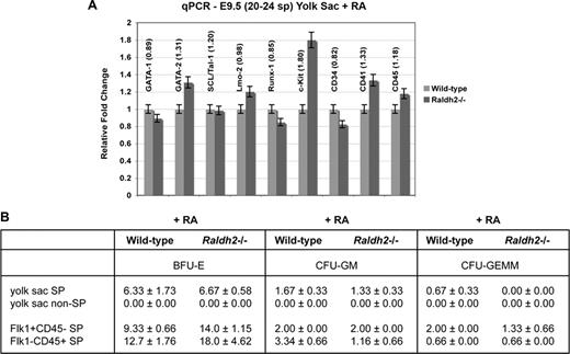 Figure 7. Restoration of RA signaling in RA-deficient embryos rescues hematopoietic potential and function of hemogenic endothelium. (A) qPCR analysis of endogenous hematoendothelial gene expression in RA-treated E9.5 Raldh2−/− versus WT littermate yolk sacs. All data were calculated as gene expression relative to endogenous β-actin expression of the tissue (n = 3). (B) Hematopoietic potential of RA-treated E9.5 Raldh2−/− mutant versus WT littermate yolk sac in vitro. All data were calculated as the number of individual colonies generated per 1000 viable seeded cells plus or minus SEM (n ≥ 3).