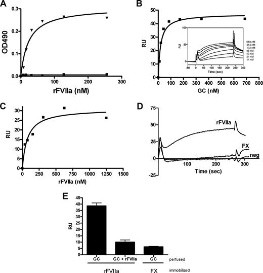 Figure 1. Glycocalicin interacts with rFVIIa. (A) rFVIIa was immobilized on a microtiter plate at concentrations indicated. Subsequently, wells were incubated with GC (5 μg/mL) or vehicle, and bound GC was detected by using a polyclonal antibody against GPIb (2 μg/mL). (B) rFVIIa (3400 RU) was immobilized on a CM5 sensor chip, and binding of GC was investigated by SPR. After adjusting for binding to a blank channel, the response of GC at equilibrium was determined and plotted against the concentration applied. Inset shows representative SPR traces of indicated concentrations of GC. (C) GC (1100 RU) was immobilized on a CM5 sensor chip, and binding of rFVIIa was investigated by SPR. (D) Representative traces of GC (67 nM) binding to a rFVIIa-coated channel, a channel coated with factor X (FX, 5400 RU) or an uncoated channel (neg). (E) Binding of GC (67 nM) to rFVIIa was investigated in the absence or presence of 2 μM rFVIIa. Representatives of at least 3 experiments are shown.