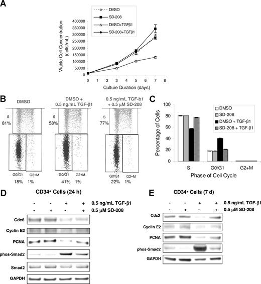 Figure 4. TBRI inhibition can inhibit TGF-β–mediated cell-cycle arrest of CD34+ cells. Equal numbers of BM CD34+ cells were grown in the presence of SCF, TPO, and FLT-3L and were pretreated with DMSO or 0.5 μM SD-208 for 1 hour before TGF-β1 (0.5 ng/mL final concentration) was added. On days 3, 5, and 7, cell aliquots were taken and viable cell concentration was determined using Guava ViaCount. The experiment was repeated at least 3 times (using multiple donors of CD34+ cells) and means plus or minus SEM is shown (A). CD34+ cells were treated with DMSO or SD-208 in the presence or absence of TGF-β1 for 7 days. Cell-cycle distribution of CD34+ cells (gated with PE-conjugated CD34 antibody) was determined on day 7 using the APC BrdU Flow Kit and the LSR-II flow cytometer (BD Biosciences; B; representative sample, C). Error bars represent SEM. CD34+ cells were treated with DMSO or SD-208 in the presence or absence of TGF-β1 as described above. After 24 hours, cDNA was prepared and hybridized on a cDNA microarray. Selected cell-cycle progression genes that were down-regulated by TGF-β by 2-fold were validated at the protein level by Western blotting. CD34+ cells were treated with DMSO or SD-208 in the presence or absence of TGF-β1 as described above. Cells were collected at the indicated time points and lysed in radioimmunoprecipitation assay (RIPA) buffer. Equal protein was separated on a 10% Bis-Tris sodium dodecyl sulfate–polyacrylamide gel electrophoresis (SDS-PAGE) gel and transferred to nitrocellulose membrane and immunoblotted with the antibodies (D). GAPDH levels were used as protein loading controls, and p-smad2 was used as positive control for TGF-β1 stimulation.