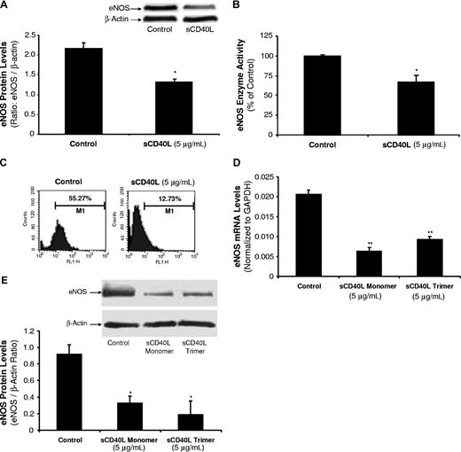 Figure 2. Effects of sCD40L on eNOS protein levels and NO production in HCAECs. (A) Western blot analysis. HCAECs were treated with sCD40L for 24 hours and eNOS protein levels were determined by Western blot. (B) eNOS enzyme activity. HCAECs were treated with sCD50L for 24 hours. The eNOS enzyme activity was determined by a commercial eNOS fluorimetric assay kit. (C) Cellular NO levels. HCAECs were treated with sCD40L for 24 hours and cellular NO levels were determined by DAF-FM DA staining and flow cytometric analysis. (D) Effect of sCD40L trimer on eNOS mRNA and (E) protein levels. HCAECs were treated with sCD40L monomer form or sCD40L trimer form for 24 hours, and eNOS mRNA and protein levels were determined by real-time PCR analysis and Western blot, respectively. *P < .05 and **P < .01, compared with the control. n = 3. Data are means and SE of multiple experiments (n).