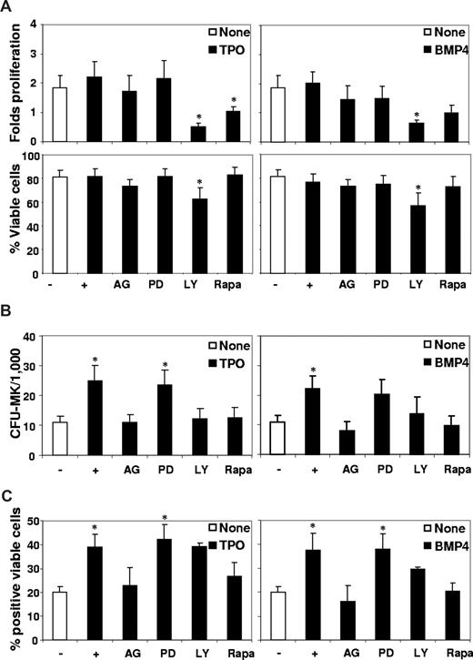 Figure 3. Effect of signaling pathway inhibitors on BMP4- and TPO-induced MK differentiation. Purified CD34+ cells were incubated in 4GF serum-free medium in the presence or not of TPO (left panels) or BMP4 (right panels; 50 ng/mL) with or without specific inhibitors of the following signaling pathways: JAK/Stat (AG490, 30 μM), MAPK (PD98059, 2 μM), PI3K (LY294002, 10 μM), and mTOR (rapamycin, 100 nM). (A) After 3 days, cells were harvested and the number of viable cell was evaluated by trypan blue counting. Data represent the percentage of viable cells as a result of the following ratio: (viable cell number/total cell count) × 100. The fold proliferation represents the ratio between the number of viable cells at day 3 and input cells. (B) Cells were placed in functional progenitor assays to determine CFC-MK numbers after 3 days of treatment. Results are expressed as numbers of colonies per 1000 seeded cells. Results (panels A,B) represent the mean plus or minus SEM of 9 experiments. (C) Phenotypic analysis of the early MK specific marker CD41 was performed after 7 days of treatment by flow cytometric analysis using a Facscalibur cell analyzer (BD Biosciences) and gating on viable cells. Results are presented as percentages of positive viable cells plus or minus SEM of 6 experiments. * indicates statistically significant difference from those in nontreated cells (P < .05).