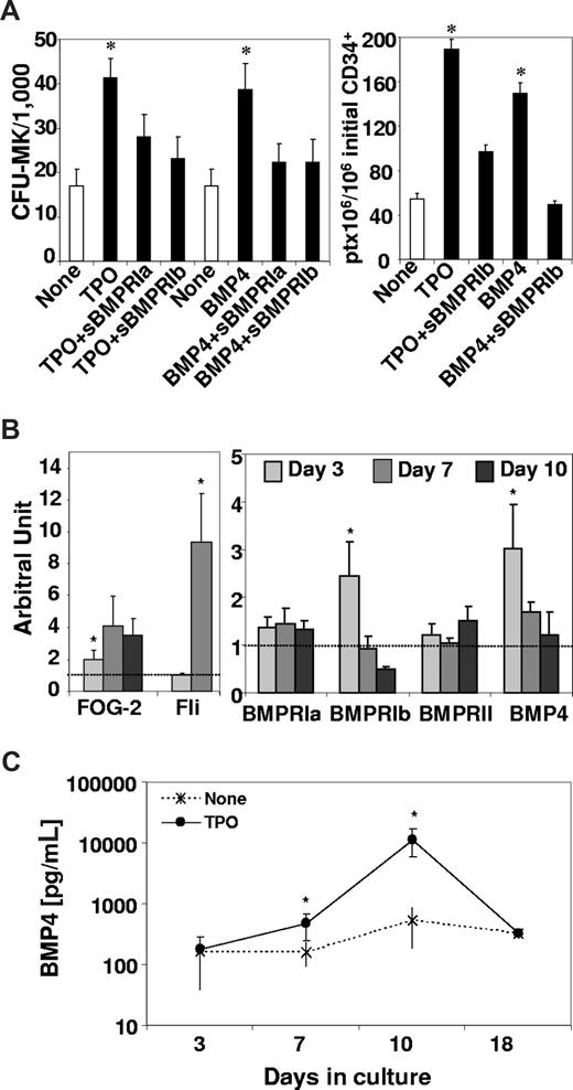 Figure 5. TPO induces the BMP4 autocrine loop in MK progenitors. Purified CD34+ cells (6 × 105/mL) were cultured in 4GF serum-free medium supplemented with TPO or BMP4 (100 ng/mL). (A) Cells were incubated in the presence of type Ia (sBMPR-Ia, 1 μg/mL) and type Ib (sBMPR-Ib, 4 μg/mL) soluble BMP receptors to inhibit the BMP signaling pathway as described.13 After 3 days of culture, wells were assayed for their CFU-MK and after 7 days for their platelet content. Results represent the mean value plus or minus SEM of, respectively, 6 and 4 experiments. (B) RT-PCRq expression data are expressed as a mean ratio of the gene of interest to 2 control genes, TBP and COF. Results are expressed as a fold increase calculated from the ratio of TPO-treated cells to nontreated cells. Therefore, the 1 value represented on the graph matches the baseline level of the gene in nontreated cells. Results represent the mean value plus or minus SEM of 5 independent experiments. (C) After 7 days of culture, the supernatant was harvested and cleared by 10 minutes of centrifugation at 3000g, then placed in 96-well plates for ELISA quantification of BMP4 as described in “BMP4 and PF4 quantification.” Results expressed in pg/mL of BMP4 represent the mean value plus or minus SEM of 4 to 9 experiments. * indicates statistically significant difference from those in nontreated cells (P < .05).