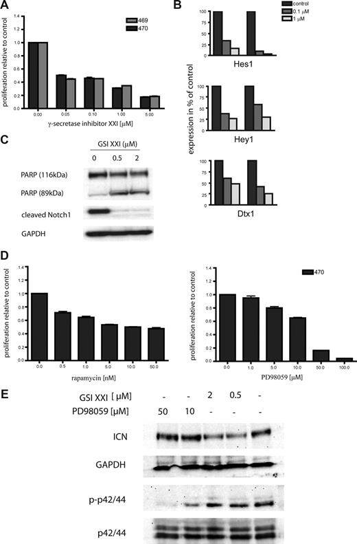 Figure 5. Oncogenic K-Ras–driven T-cell disease is hypersensitive toward Notch1 inhibitor therapy. (A) Primary oncogenic K-Ras–expressing T-ALL cells and the human cell line CCRF-CEM were grown in RPMI media without cytokines and treated with the γ-secretase inhibitor XXI as indicated. Cell viability was measured after 48 hours, and the proportion of viable cells relative to the control (no inhibitor) was plotted. Experiments were performed in triplicate. Values are mean plus or minus SEM. (B) Inhibition of Notch1 signaling caused reduced expression of known Notch1 target genes. Primary cells were treated as indicated, and expression of Hes1, Hey1, and Dtx1 mRNA levels was determined by RQ-PCR. Each experiment was performed in duplicate. (C) Inhibition of Notch1 results in cleavage of PARP (top panel) and a decrease of ICN levels (middle panel). Equal loading was confirmed by measuring GAPDH protein levels. GSI indicates γ-secretase inhibitor. (D) The primary oncogenic K-Ras expressing T-ALL cell line 470 and the human cell line CCRF-CEM were grown in RPMI-media without cytokines and treated with rapamycin and PD98059 as indicated. Cell viability was measured after 48 hours, and the proportion of viable cells relative to the control (no inhibitor) was plotted. Experiments were performed in triplicate. Values are mean plus or minus SEM. (E) Primary 470 T-ALL cells were treated with GSI XXI or PD98059 for 6 hours as indicated. Protein lysates were extracted, and immunoblot analysis was performed using antiphosph-p42/44 and anti-ICN antibodies. Equal loading was confirmed by measuring p42/44 and GAPDH protein levels, respectively. GSI indicates γ-secretase inhibitor.