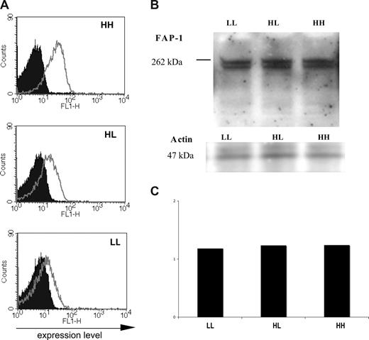 Figure 4. Erythrocyte FAP-1 levels do not parallel those of CR1. (A) Flow cytometric analysis of CR1 expression on erythrocyte from normal donors with low (LL), intermediate (HL), and high (HH) levels of CR1. Finger prick blood from 3 donors (10 μl from each donor) was stained with anti-CR1 mAb 2B11 and incubated with AlexaFluor-488 goat anti–mouse secondary antibody. Cells were then analyzed by FACS within 30 minutes after completion of the staining procedures. The experiment was repeated 4 times with similar results. (B) Western blot analysis of FAP-1 expression in erythrocyte expressing various levels of CR1. Five microliters of freshly purified erythrocyte from the same donors used for Western blot analysis were mixed with 1× reducing- loading buffer and boiled for 3 minutes. Proteins were separated on a 10% Bis-Tris NuPAGE gel and blotted on nitrocellulose membrane. FAP-1 was detected using a mouse mAb. The experiment was repeated 4 times with blood from various HH, HL, and LL donors and different anti–FAP-1 antibodies. (C) Bar graph representing the densitometry results of the levels of FAP-1 in erythrocyte expressing various levels of CR1 after normalization to actin. The loading control was assessed by quantifying the levels of actin (Quantity One; Bio-Rad). The experiment was repeated 3 times with blood from various HH, HL, and LL donors.