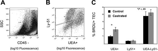 Figure 3. Androgen withdrawal increases UEA+ thymic epithelial cell proliferation. Six-week-old male mice were treated with 2 mg of BrdU i.p. on day 1 and 0.08% BrdU p.o. continuously for 7 days after castration or sham castration. Data represent 5 experiments with 3 thymi pooled per group for digestion. TEC populations were enumerated by flow cytometry, with medullary TEC defined as CD45− UEA+, cortical TEC as CD45− Ly51+, and a double-negative population of CD45− UEA− Ly51−. Representative flow cytometry plots are shown for gating of CD45 negative population (A) and discrimination of medullary and cortical populations within the CD45− population (B). BrdU-negative populations were defined using a noncastrated control group that underwent TEC preparation and were stained with BrdU antibody but did not receive exogenous BrdU. (C) Graph represents the mean frequency of BrdU + populations with standard error bars.