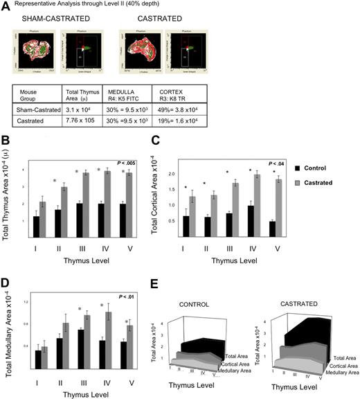 Figure 4. Androgen withdrawal increases medullary and cortical epithelial cell area 3 weeks after castration. Thymi were removed 3 weeks after castration or sham castration from 6 to 7 mice per group. Immunohistochemistry analysis of frozen sections using laser scanning cytometry was performed on 5 levels for each thymus, 2 or more slides per level, a minimum of 10 sections per mouse, 6 mice per group, were analyzed. Thus, data represent average area of 12 to 21 slides per level. (A) Representative laser scanning cytometry pseudoplot of K8+ cortical area (Texas Red) and K5+ medullary area (FITC) for sham-castrated thymus (left) and castrated thymus (right). To the right of the pseudoimage, the corresponding dot-plot for FITC-K5 versus Texas Red-K8 fluorescence is shown. The table below summarizes the calculations of medullary and cortical areas using this method. (B) Graph of total thymus area for each level. (C) Graph of K8+ cortical epithelial area for each level. (D) Graph of K5+ medullary epithelial area per level. (E) Three-dimensional representation of area across levels for total area, K8+ cortical area, K5+ medullary area. All graphs include standard error bars.