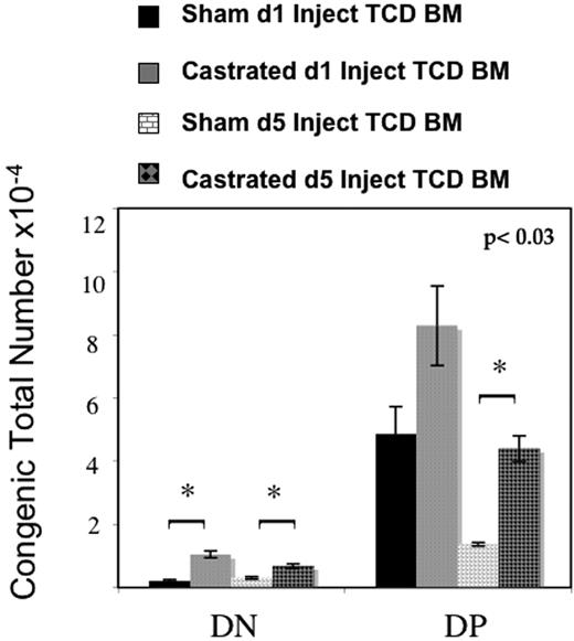 Figure 6. ETP immigration increases after androgen withdrawal. Six- to 8-week old male mice were castrated or sham-castrated followed by intravenous injection of congenic T cell–depleted marrow on the day of operation or 4 days later. All mice were killed 3 weeks after procedure. Castrated mice displayed significantly more congenic DN cells at both time points and significantly more DP at the later adoptive transfer time point, demonstrating enhanced ETP uptake in castrated mice (6-8 mice per group per time point, standard error bars shown).