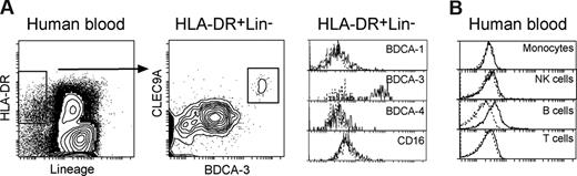 Figure 4. Expression of hCLEC9A on human blood DCs. (A) Human peripheral blood mononuclear cells (PBMCs) were isolated and surface immunofluorescence labeled with mAb against HLADR (L243-PercP), a cocktail of PE-conjugated mAb against Lineage markers including CD3 (BW264156; T cells), CD14 (Tuk4; monocytes), CD19 (6D5; B cells) and CD56 (AF12-7H3; NK cells), hCLEC9A (3A4-FITC), and either CD16 (VEP-APC-Cy7) or BDCA-1 (ADJ-8E7-APC), or BDCA-3 (AD5-14H12-APC), or BDCA-4 (AD5-17F6-APC; pDC). Blood DCs were gated as HLADR+Lineage− and further analyzed for their expression of hCLEC9A. (B) Other heamapoeitic cells were identified in preparations of PBMCs by immunofluorescence labeling with mAb against CD19 (6D5-PE; B cells), CD3 (BW264156-PE; T cells), CD56 (AF12-7H3-PE) and NKp46 (9E2-APC; CD56+NKp46+; NK cells), CD14 (Tuk4-PE; monocytes), together with 3A4-FITC, then analyzed for their expression of hCLEC9A. The dotted line represents the background staining of the gated cells with an isotype-matched control.