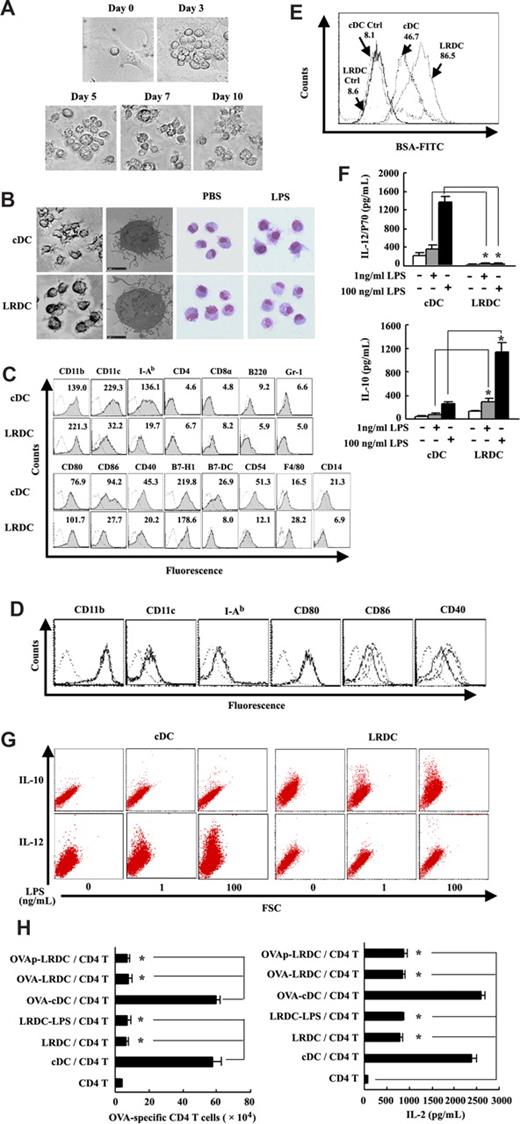 Figure 1. LSCs program Lin−CD117+ progenitor differentiation into DC-like cells. (A) Differentiation of bone marrow–derived Lin−CD117+ progenitor on the monolayer of LSCs at different times. CoolSNAP cf camera (Roper Scientific Photometrics, Tucson, AZ) mounted on a microscope (Leica-DMIRB) and Meta Imaging Series 5.0 (Molecular Devices, Downingtown, PA) were used to acquire images. Original magnification, 40× objective. (B) Morphology of DC-like cells differentiated from progenitors under liver stroma (we refer to them as LRDCs) and cDCs under phase-contrast microscope, transmission electron microscope (Philips CM120; Philips, Eindhoven, The Netherlands), and Wright staining after stimulation with or without LPS. Original magnification, 40× objective (phase-contrast microscope). Scale bars equal 2 μm (transmission electron microscope); 100× oil objective (Wright staining). (C) Phenotype of LRDCs and cDCs. Open histograms represent isotype control; numbers in histograms indicate the geometric mean fluorescence. (D) Phenotype of LRDCs matured with 0 ng/mL LPS (black line), 1 ng/mL LPS (dashed line) or 100 ng/mL LPS (long dotted line). Short dotted line represents isotype control. (E) The phagocytosis ability of LRDCs was assessed by incubating with 100 mg/mL FITC-conjugated BSA at 37°C or 4°C for 4 hours. Numbers in histogram indicate geometric mean fluorescence. (F,G) Expression of IL-10 and IL-12p70 by LRDCs stimulated with LPS was measured by ELISA (F) and intracellular cytokine staining (G). (H) Antigen-presenting ability of LRDCs. CD4 T cells from DO11.10 × C57BL/6 F1 hybrid mice cocultured with LRDCs, LPS-stimulated LRDCs (LRDC-LPS), and cDCs in the presence of OVA323-339 peptide or cocultured with OVA protein–loaded LRDCs (OVAp-LRDC), OVA323-339 peptide–loaded LRDCs (OVA-LRDC)/cDC(OVA-cDC). cDCs or LRDCs were pulsed with 2 μM OVA323-339 peptide or 5 μM OVA protein at 37°C for 6 hours, then washed with cold PBS 3 times. After 5 days, the total number of live CD4 T cells was counted by FACS, and IL-2 was analyzed by ELISA. Data represent mean plus or minus SD of triplicate wells and are representative of at least 3 independent experiments with similar results. *P < .001.
