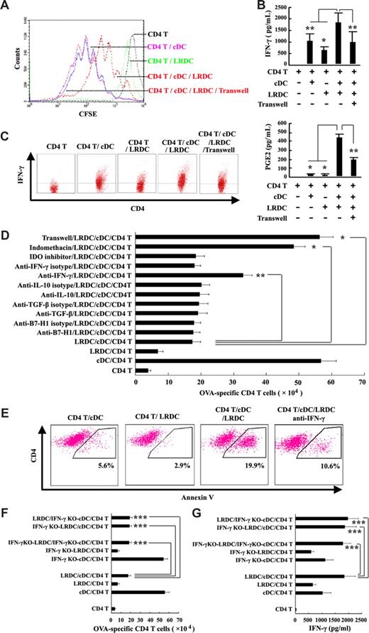 Figure 4. Mechanisms for the inhibitory effects of LRDCs on the antigen-specific CD4 T-cell proliferation. (A-C) CD4 T cells of DO11.10 × C57BL/6 F1 hybrid mice were labeled with 5 μM CFSE and cocultured with cDCs or/and LRDCs in the presence of OVA323-339 peptide for 5 days; the divisions of CFSE (A) and intracellular staining for IFN-γ secretion (C) of CD4 T cells were then analyzed by FACS. PGE2 and IFN-γ released in the supernatant were assayed by ELISA (B). In the experiments using the transwell system, LRDCs were seeded into the upper chamber of the transwell with CD4 T cells and cDCs in the bottom of a 24-well plate. (D) A variety of neutralizing antibodies or blocking reagents were added into the coculture system, and the inhibitory functions of LRDCs were assayed. (E) Detection of T-cell apoptosis in the coculture system. (F,G) LRDCs or/and cDCs derived from IFN-γ knockout mice were used in the coculture system, CD4 T-cell proliferation was detected by FACS (F), and the level of IFN-γ in supernatant was assayed by ELISA (G). Data represent the mean plus or minus SD of triplicate wells and are representative at least from 3 independent experiments. *P < .001; **P < .01; ***P > .05.