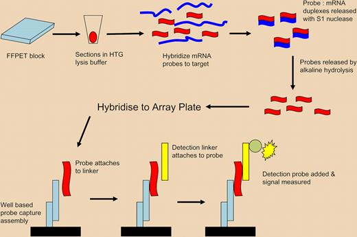 Diagram of ArrayPlate assay. Proprietary lysis buffer (HTG) is used to lyse and permeabilize FFPET tissue sections. Specific nuclease protection probes are added, which hybridize to all mRNA, either soluble or still cross-linked. S1 nuclease is added to remove nonspecific RNA, leaving only target mRNA/probe duplexes. The hybridized-specific probes are released by hydrolysis and the isolated probes are transferred to an ArrayPlate well for detection using linkers, detection probes, and a chemiluminescent substrate. The method enables expression profiling of multiple mRNAs without RNA extraction by the use of short probes capable of hybridisation to both soluble and insoluble/cross-linked mRNA of importance in FFPET. Adapted by permission from Macmillan Publishers. Roberts RA, Sabalos CM, LeBlanc ML, et al. Quantitative nuclease protection assay in paraffin-embedded tissue replicates prognostic microarray gene expression in diffuse large-B-cell lymphoma. Lab Invest. 2007;87:979-997.
