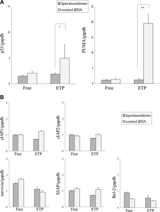 Figure 3. Induction of p21WAF1 and PUMA but not the IAP family members or bcl-2 is repressed in Kpm/Lats2-knockdown KG-1a cells after treatment with DNA damage–inducing agents. Total mRNA was isolated from Kpm/Lats2-knockdown KG-1a or control cells treated with or without 0.03 μg/mL ETP at day 0 and cultured for 3 days. mRNA expression levels of p21 and PUMA (A), and the IAP family members and bcl-2 (B), were measured by real-time PCR analysis using the specific primers described in Table 1. Data normalized to gapdh are shown as mean plus or minus SD in scale that the value for KG-1a wild-type cells without treatments is 1. Normalization to hprt gave similar results. The analyses were performed in triplicate independently twice, and representative data are shown (Student t test: *P < .05; **P < .005).