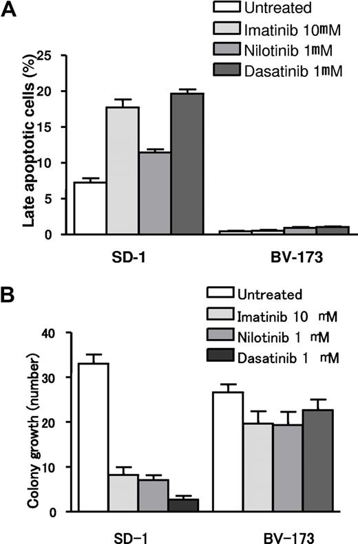 Figure 4. Apoptosis and colony growth assays in full-length Ikaros- and Ik6-expressing cells after treatment with TKIs. (A) Apoptotic rates of untreated and TKI (imatinib, nilotinib, and dasatinib)-treated cells. Treatment with TKIs increased the apoptotic rate in Ikaros full-length expressing cells (SD-1), whereas no differences were identified in Ik6 expressing cells (BV-173) between untreated and TKI-treated cells. (B) Mean value of colony growth from SD-1 and BV-173 cell lines in control cells (untreated) and after incubation with imatinib, nilotinib, and dasatinib.