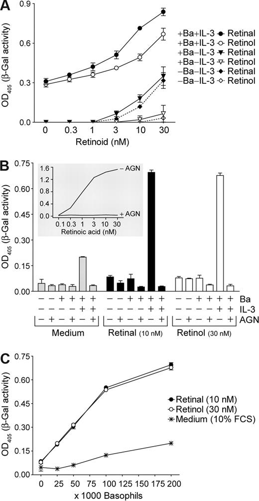 Figure 3. Production and release of biologically active RA by IL-3–stimulated basophils. In vitro reporter assay. RA-responsive F9-RARE-lacZ reporter cells were incubated for 24 hours without basophils or cocultured with basophils (± Ba), which were left untreated or stimulated with 10 ng/mL IL-3, as indicated. Reporter cells were harvested and assayed for β-galactosidase activity, which relates to the amounts of RA released by basophils. (A) Reporter cells were incubated with or without basophils in the presence of rising concentrations of retinal or retinol and (B) with or without 10 nM retinal or 30 nM retinol, in the presence or absence of RAR antagonist AGN193109 (AGN, 100 nM). (Inset) As a control, β-galactosidase activity in reporter cells as a function of exogenous RA concentration and its inhibition by AGN193109 (100 nM) is shown. (C) The amount of RA released is proportional to basophil numbers. Different numbers of basophils were cultured for 24 hours with IL-3, and then coincubated with reporter cells in the absence or presence of retinoids (10 nM retinal or 30 nM retinal) for additional 24 hours. Mean values (± SD) of triplicates of representative experiments are shown. Data in the different panels are from separate experiments with basophils from different donors.