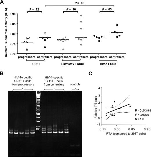 Figure 2. Comparative analysis of telomerase activity in HIV-1–specific CD8+ T-cell populations from individuals with progressive or controlled HIV-1. (A) Relative telomerase activity (RTA) of HIV-1–specific CD8+ T cells, as well as corresponding CMV/EBV-specific and bulk CD8+ T cells, from HIV progressors or controllers measured by RQ-TRAP. Horizontal bars reflect medians. (B) Visualization of telomeric extension of substrate primers by RQ-TRAP following exposure to protein extractions collected from the indicated sorted HIV-1–specific CD8+ T-cell populations from progressors or controllers. Left panel to the ladder reflect samples from progressors; right panel reflect samples from controllers; the last 2 lanes reflect the heat-inactivated samples and lysis buffer only control. (C) Correlation between telomere length and telomerase activity of the analyzed HIV-1–specific CD8+ T cells.