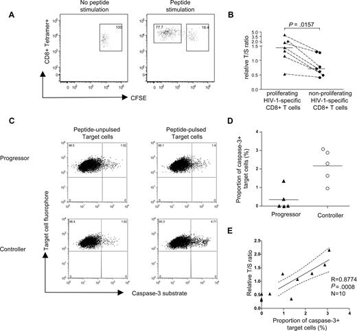 Figure 3. Correlation between telomere length/telomerase activity of HIV-1–specific CD8+ T cells and their proliferative and cytotoxic activity. (A) Representative dot plots indicating gating of proliferating (CFSEdim) and nonproliferating (CFSEbright) tetramer+ HIV-1–specific CD8+ T cells. Numbers in quadrants reflect proportion of tetramer+ CD8+ T cells. (B) Comparison of telomere lengths between proliferating and corresponding nonproliferating tetramer+ HIV-1–specific CD8+ T cells. Horizontal bars reflect medians. (C) Representative dot plots reflecting caspase-3 expression in peptide-pulsed target cells following exposure to HIV-1–specific CD8+ T cells from individuals with progressive or controlled viremia. Numbers in quadrants reflect proportion of target cells. (D) Proportion of caspase-3–positive target cells after coincubation with PBMCs from HIV-1 controllers (n = 5) or HIV-1 progressors (n = 5). Horizontal bars reflect means. (E) Correlation between cytotoxic activity of HIV-1–specific CD8+ T cells (measured by proportion of caspase-3–positive target cells) and corresponding telomere length.