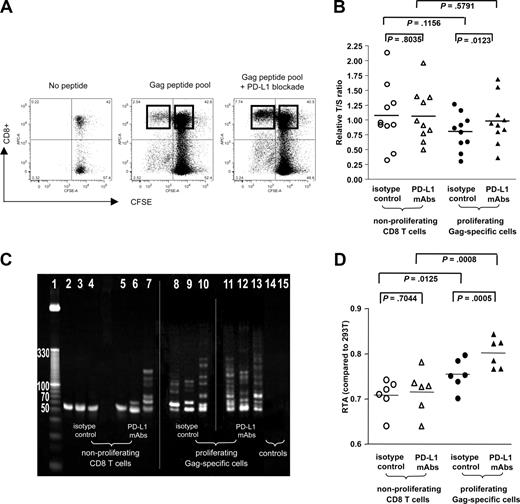 Figure 4. Augmentation of telomere length and telomerase activity of HIV-1–specific CD8+ T cells after antibody-mediated PD-L1 blockade. (A) Dot plots reflecting proliferative activity of HIV-1–specific CD8+ T cells in the presence or absence of PD-L1–blocking antibodies. CFSEdim proliferating HIV-1–specific CD8+ T cells after antigenic stimulation and bulk CFSEbright CD8+ T cells were sorted according to the gates indicated. Numbers in quadrants reflect proportion of gated lymphocytes. (B) Telomere length of HIV-1–specific CD8+ T cells proliferating in the presence or absence of PD-L1–blocking antibodies as well as of the corresponding nonproliferating bulk CD8+ T cells. (C,D) Telomerase activity of bulk CD8+ T cells and sorted HIV-1–specific CD8+ T cells that were stimulated with antigenic peptides in the presence or absence of PD-L1–blocking antibodies, as determined by RQ-TRAP with subsequent analysis by gel electrophoresis (panel C; vertical lines have been inserted to indicate repositioned gel lanes) and after normalization to a reference cell line as described in “Methods” (D). Horizontal bars in panels B and D reflect means.
