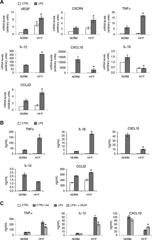 Figure 3. Effects of hypoxia on cytokine expression by DCs. (A) Human monocyte–derived DCs were cultured under normoxic or hypoxic conditions in the presence or absence of LPS for 18 hours and analyzed for mRNA expression by real-time PCR. Results are means plus or minus SD of 3 different experiments. *P < .05 versus normoxic counterparts. (B) Supernatants were collected after 18 hours of LPS treatment and analyzed for cytokine production by ELISA. Results are means plus or minus SD of 4 experiments. *P < .05 versus DCs matured in normoxic conditions. (C) Effects of the inhibition of the biologic activity of VEGF on cytokine secretion by normoxic and hypoxic DCs. α-VEGF indicates anti-VEGF antibody (1 μg/mL); iso indicates isotype-matched antibody. Results are means plus or minus SD of 3 experiments. *P < .05 versus DCs matured in hypoxia.