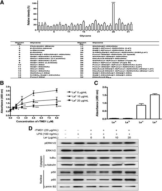 Figure 6. Analysis of rTMD1 ligand by AlphaScreen, inhibitory effect of Ley antigen on the binding of rTMD1 with LPS, and analysis of Lewis antigens in E coli LPS O111:B4. (A) AlphaScreen assay results. Values are the mean plus or minus SD (n = 4). Sugar binding specificity of mammalian-expressed rTMD1 is indicated by relative intensities (with reference to the highest absorbance unit). The sugar identities are designated by numbers as listed. ***P < .001 compared with the blank. The results were obtained from the average of 4 independent assays. Similar result was obtained using Pichia-expressed rTMD1. (B) Effect of Ley antigen on the binding of rTMD1 with LPS. LPS was coated onto wells and various concentrations of Ley and rTMD1 were added to each well. The binding of rTMD1 is expressed as the mean plus or minus SD (n = 4), *P < .05, **P < .01, and ***P < .001 compared with the rTMD1-only group. Similar results were obtained in 2 independent experiments. (C) Analysis of Lewis antigens in E coli LPS O111:B4. LPS (5 μg/well) was coated onto wells of high-binding microtiter plate. Lea, Leb, Lex, and Ley antibodies (5 μg/mL) were added to each well in binding buffer and incubated at 37°C for 2 hours followed by peroxidase-labeled secondary antibodies for 2 hours. The binding of Lewis antibodies to LPS was detected by measuring absorbance at 450 nm. Values are the mean plus or minus SD (n = 4). Similar results were obtained in 2 independent experiments. (D) Effect of Ley on the blocking effect of rTMD1 on LPS-induced signaling pathways. rTMD1 (20 μg/mL) and various concentrations of Ley were preincubated with LPS (100 ng/mL) before adding to cells. After incubation for 30 minutes, Western blot was used to assay LPS-induced ERK1/2 phosphorylation, degradation of IκBα in cytoplasmic fractions, and nuclear translocation of NF-κB p50 and p65 in nuclear fractions. Similar results were obtained in 2 independent experiments.