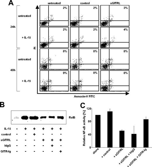Figure 4. Functional characterization of the effects of sGITRL on NK cell reactivity. (A) NK cells were cultured for 24 hours in the absence or presence of 10 ng/mL IL-15 and afterward incubated for an additional 24 hours or 48 hours with 10 ng/mL sGITRL derived from C1R-GITRL supernatants with an equal volume of C1R-neo supernatant as control. Subsequently, determination of apoptosis was performed by FACS using propidium iodide (PI) and annexin V–fluorescein isothiocyanate. The percentage of dead cells is indicated. One representative experiment each of a total of 3 experiments with similar results is shown. (B) NK cells were cultured for 24 hours with or without of 10 ng/mL IL-15 in the presence or absence of control supernatant or 10 ng/mL sGITRL. Where indicated, 10 ng/mL GITR-Ig or IgG1 had been added to sGITRL-containing supernatant. Subsequently, nuclear extracts were prepared and RelB protein was analyzed by Western blot. (C) Intensity of bands was densitometrically determined using ImageJ software, and results obtained with IL-15–stimulated NK cells were defined as 100%. Columns represent means with SD of 4 independent experiments.