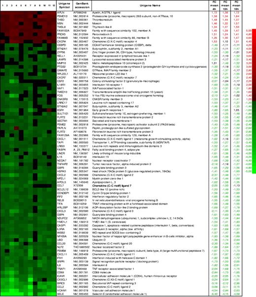 Figure 1. Expression profile of selected CD40-regulated genes upon EC stimulation with Jurkat D1.1 (CD154+) T cells. Heat map and the corresponding list of up-regulated (green) and down-regulated (red) genes fulfilling criteria of B rank 99 or more and mean FC 1.5 or more in at least 1 of the 3 stimulation times analyzed: 4 hours (columns 1-4), 10 hours (columns 5-8), and 16 hours (columns 9-12). Rows representing individual genes are ordered according to the mean FC across the 3 stimulation times. Unigene symbols18 and GenBank accession numbers19 were used.