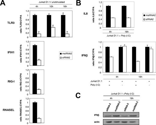 Figure 7. CD40 engagement through CD154+ T cells induces the antiviral innate immune surveillance system in ECs. (A) Validation of CD40-dependent induction of key antiviral innate immune response genes by RT-qPCR. Relative mRNA levels corresponding to TLR3, IFIH1, RIG-I, and RNASEL from msiRNA-2–treated (■) and siRNA-2–treated (□) HUVECs stimulated with (CD154+) T cells for 4 hours (IFIH1, RIG-I, RNASEL), or 4, 10, and 16 hours (TLR3), were assessed by real-time RT-qPCR using CYPA as a control, and normalized from the corresponding values obtained from unstimulated, msiRNA-2–treated, or siRNA-2–treated HUVECs. Results are mean values plus or minus SEM from 2 independent experiments performed in triplicate. (B) Functional validation of the antiviral surveillance pathways induced by CD40 signaling in HUVECs. msiRNA-2–treated (■) and siRNA-2–treated HUVECs were stimulated with Jurkat D1.1 (CD154+) T cells for 4 or 16 hours and either analyzed or further challenged with poly (I:C) (25 μg/mL) for 6 hours and analyzed. Relative mRNA levels of the proinflammatory chemokine IL8 and the type I IFNβ were assessed by real-time RT-qPCR using the housekeeping CYPA as a control. Results are mean values plus or minus SEM from 3 independent experiments performed in triplicate. (C) The relative amount of synthesized IFNβ was also evaluated at the protein level by immunoblotting using an anti-IFNβ polyclonal antibody, in fractionated cell extracts from msiRNA-2–treated (lanes 2 and 4) and siRNA-2–treated (lanes 1 and 3) HUVECs stimulated with Jurkat D1.1 (CD154+) T cells for 4 and 16 hours, and further challenged with poly (I:C) (25 μg/mL) for 6 hours. β-actin protein levels were assessed for normalization. A representative blot from 3 independent experiments is shown.