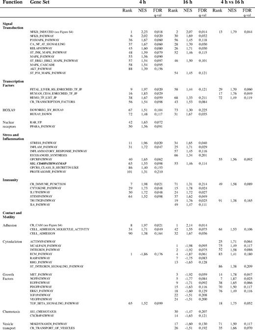 Figure 8. Representative gene sets induced upon CD40 signaling in ECs challenged by interaction with Jurkat D1.1 (CD154+) T cells. GSEA lists of selected induced gene sets (see “Microarray data analysis”) arranged according to their related molecular and cellular functions. Comparison of misRNA-2–treated versus siRNA-2–treated HUVEC transcriptional profiles at 4 hours and 16 hours after Jurkat D1.1 (CD154+) T-cell stimulation. A complementary list of CD40-dependent differentially regulated gene sets between 4 hours and 16 hours (4 h vs 16 h) is also given. For each functional gene set, its corresponding normalized enrichment score (NES) and FDR q-val is shown. Gene sets are ranked according to their FDR q-val. Positive NES values indicate up-regulated gene sets; negative NES values indicate down-regulated gene sets.