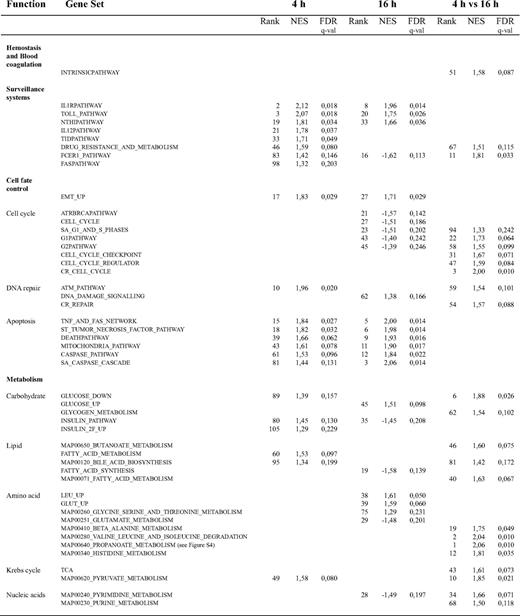 Figure 8. Representative gene sets induced upon CD40 signaling in ECs challenged by interaction with Jurkat D1.1 (CD154+) T cells. GSEA lists of selected induced gene sets (see “Microarray data analysis”) arranged according to their related molecular and cellular functions. Comparison of misRNA-2–treated versus siRNA-2–treated HUVEC transcriptional profiles at 4 hours and 16 hours after Jurkat D1.1 (CD154+) T-cell stimulation. A complementary list of CD40-dependent differentially regulated gene sets between 4 hours and 16 hours (4 h vs 16 h) is also given. For each functional gene set, its corresponding normalized enrichment score (NES) and FDR q-val is shown. Gene sets are ranked according to their FDR q-val. Positive NES values indicate up-regulated gene sets; negative NES values indicate down-regulated gene sets.